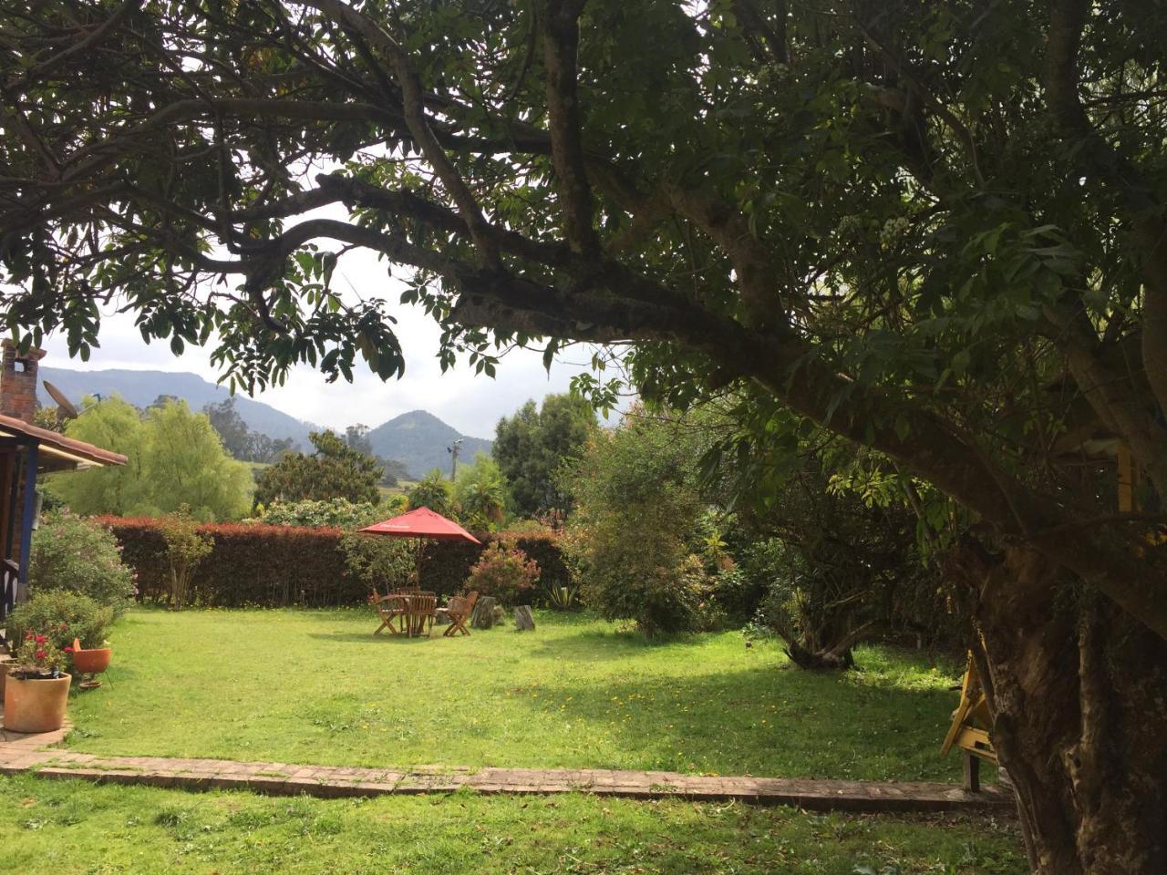 Titue Refugio , Cabanas 拉卡莱拉 外观 照片