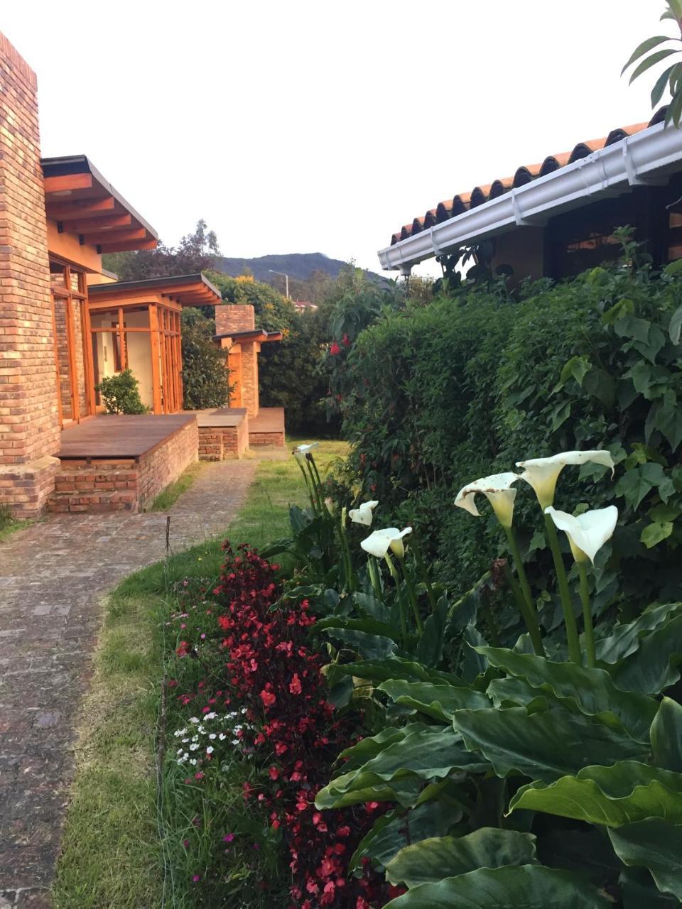 Titue Refugio , Cabanas 拉卡莱拉 外观 照片